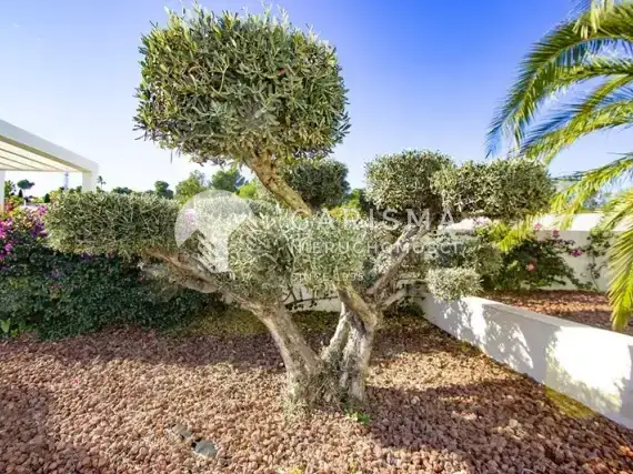 (34) Nowoczesna i parterowa willa w Moraira