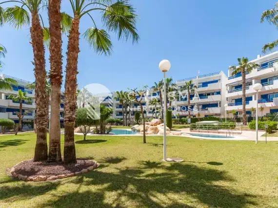 (37) Apartament z ogródkiem w Playa Flamenca, Costa Blanca, Hiszpania