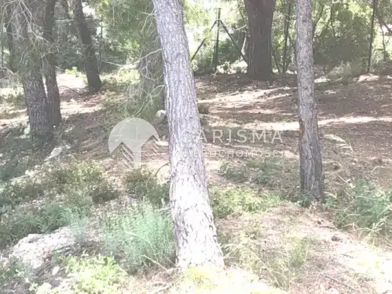 (3) Działka  blisko plaży