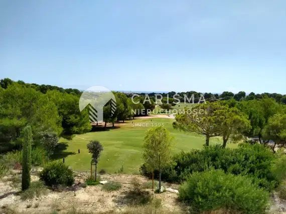 (17) Nowe bungalowy przy polu golfowym, Pilar de la Horadada, Costa Blanca