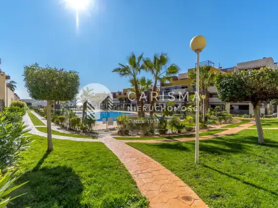 (4) Apartament z ogródkiem w Playa Flamenca 1 km od plaży