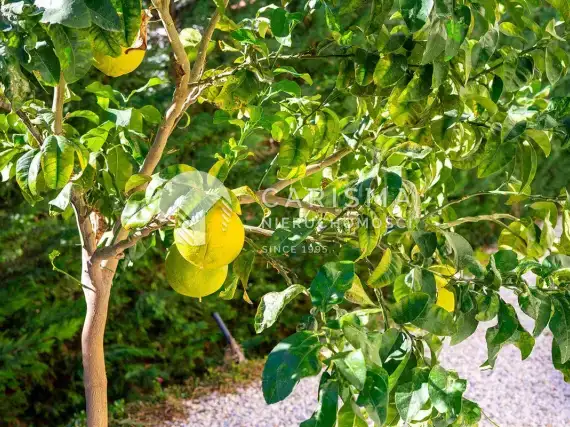 (7) Nowoczesna willa blisko plaży  z pięknym widokiem na morze, Marbella East, Costa dewl Sol