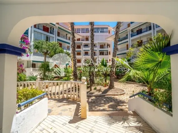 Ładny apartament tylko 300 m od plaży, La Mata, Costa Blanca 2