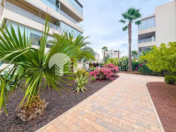 (31) Apartament na najwyższym piętrze z solarium w Villamartin, Orihuela Costa