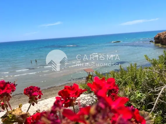 (26) Nowoczesna willa z basenem w sercu Costa Blanca